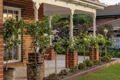 manuka-gardens